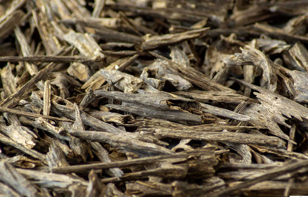 17 Benefits of Agarwood Oud that You Should Know